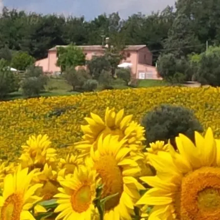 Ferienhaus Sant'elena